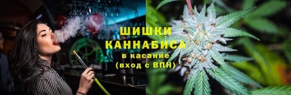 твердый Мегион