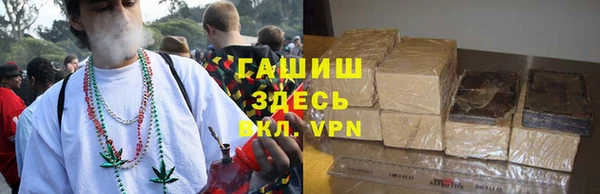 ГАЛЛЮЦИНОГЕННЫЕ ГРИБЫ Медвежьегорск