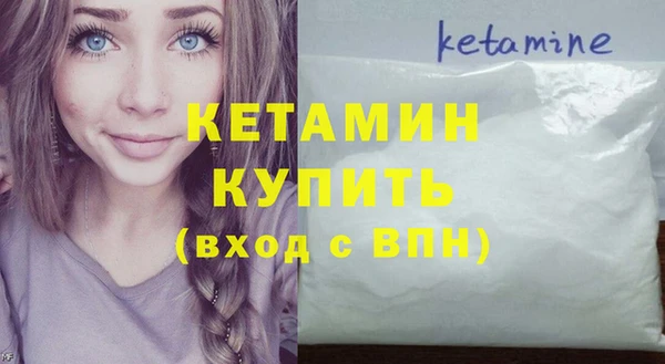прущие грибы Медногорск