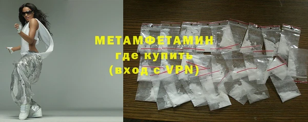 прущие грибы Медногорск