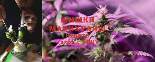 прущие грибы Медногорск