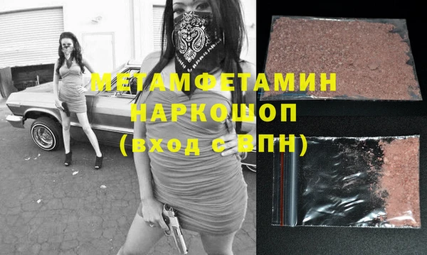 прущие грибы Медногорск