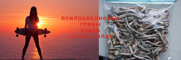 ГАЛЛЮЦИНОГЕННЫЕ ГРИБЫ Медвежьегорск