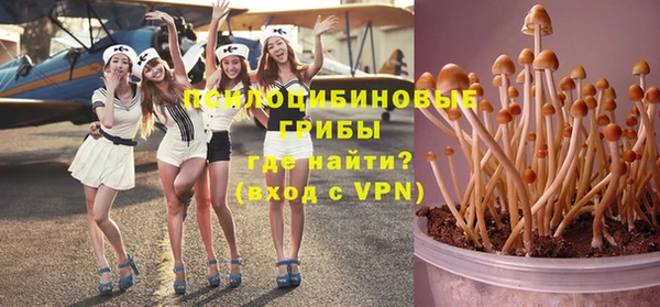 твердый Мегион