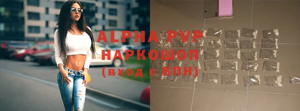 прущие грибы Медногорск