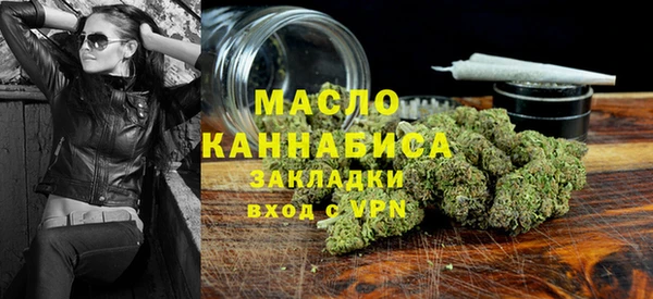 твердый Мегион