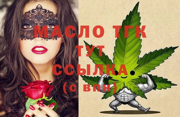 твердый Мегион