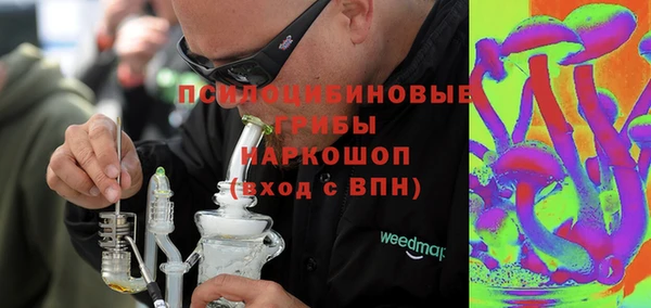 твердый Мегион