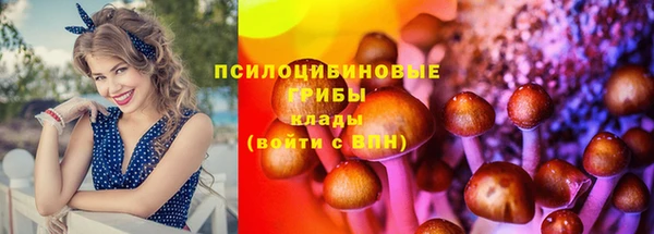 твердый Мегион