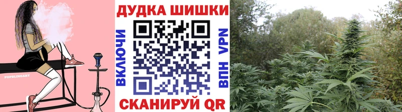 Каннабис MAZAR  где купить наркоту  Олонец 